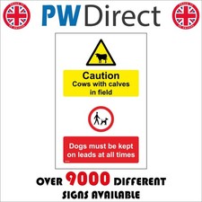 SIGN Caution Cows With Calves