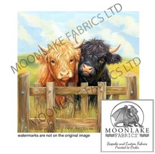 Highland Cow Calves 100%