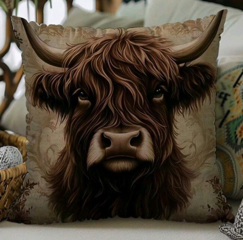Beautiful highland cow - 1,