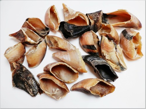 Dried cow calves hooves - dried,