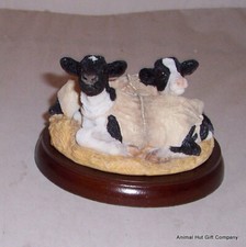 Border Fine Arts Studio Mr