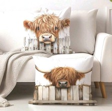 2 X Beautiful Highland Cow