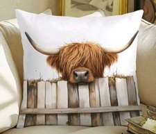 1 X Beautiful Highland Cow