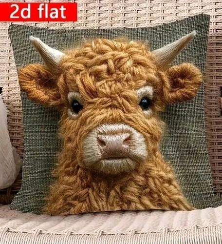 Beautiful highland cow calves - beautiful,