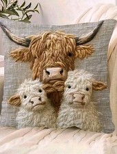 2 X Beautiful Highland Cow