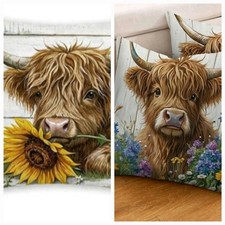 2 X Beautiful Highland Cow