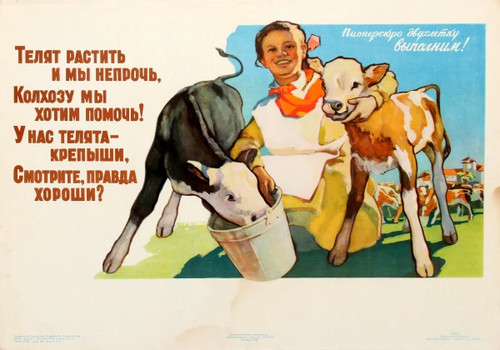 Raise calves young pioneer - calves,