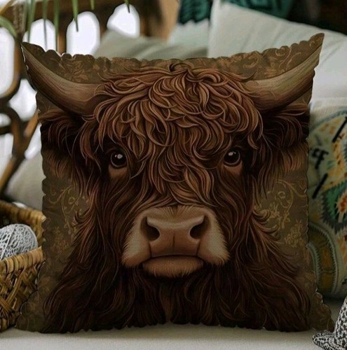 Beautiful highland cow - 1,