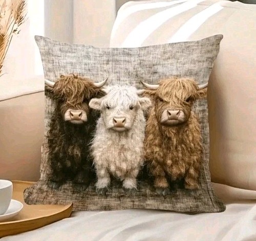 Beautiful highland cow - highland,