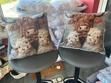 2 X Beautiful Highland Cow