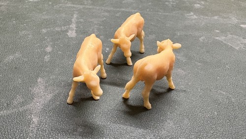 Farm calves printed - 10,