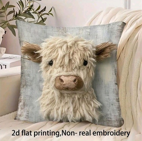 Beautiful highland cow calves - highland,