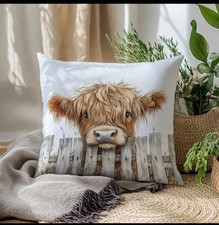 1 X Beautiful Highland Cow