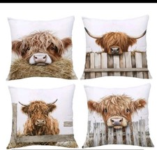 4X Beautiful Highland Cow