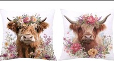 2 X Beautiful Highland Cow