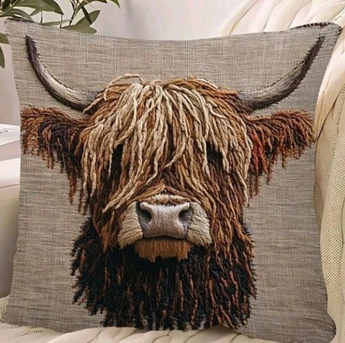 Beautiful highland cow - 1, x