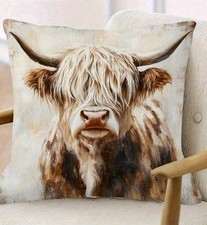 Beautiful Highland Cow Calves