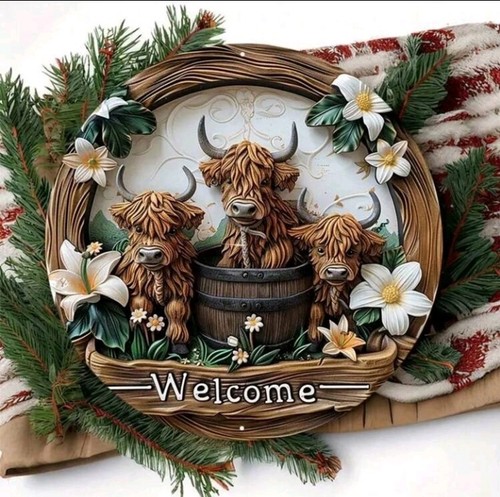 Cute highland cow - highland,