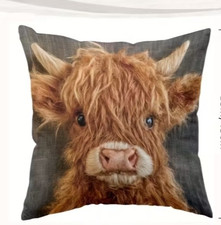 Beautiful Highland Cow Cushion