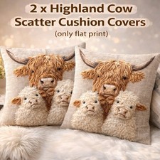 2 X Beautiful Highland Cow