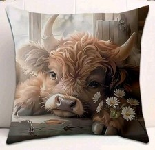 1 X Beautiful Highland Cow